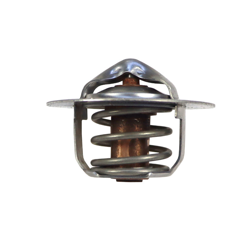 Termostat chladiacej kvapaliny — motor — Leiland — 50459829AM