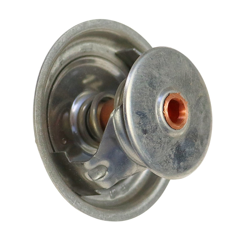 Termostat STEYR 131100040036