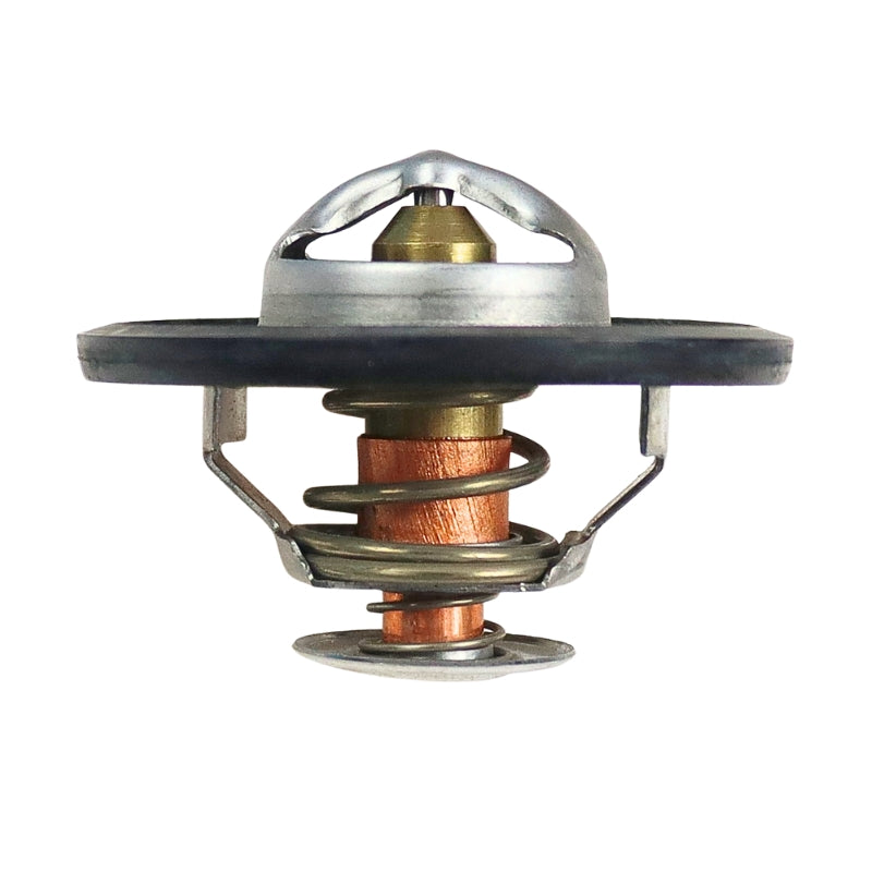 Termostat - Case 718853R91